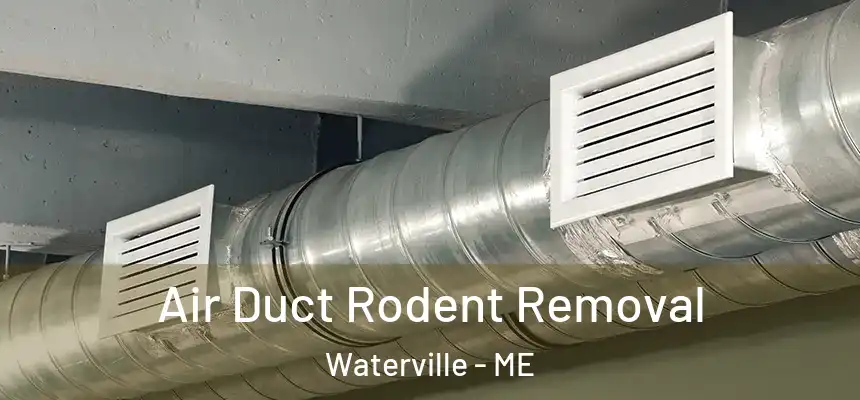  Air Duct Rodent Removal Waterville - ME