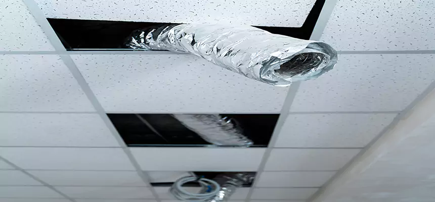 Affordable HVAC Sanitizing After Pest Removal in Waterville