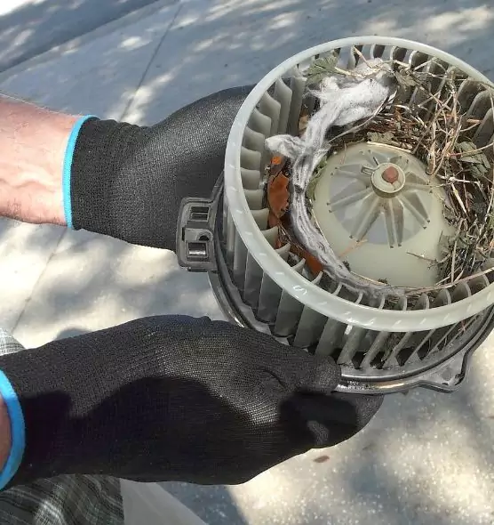 About Air Duct Mice Removal in Waterville, ME