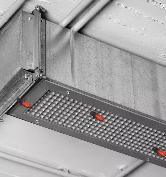 Affordable Insect Removal from Air Ducts in Waterville, ME